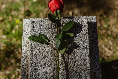 A rose on a grave marker in Torrance, CA