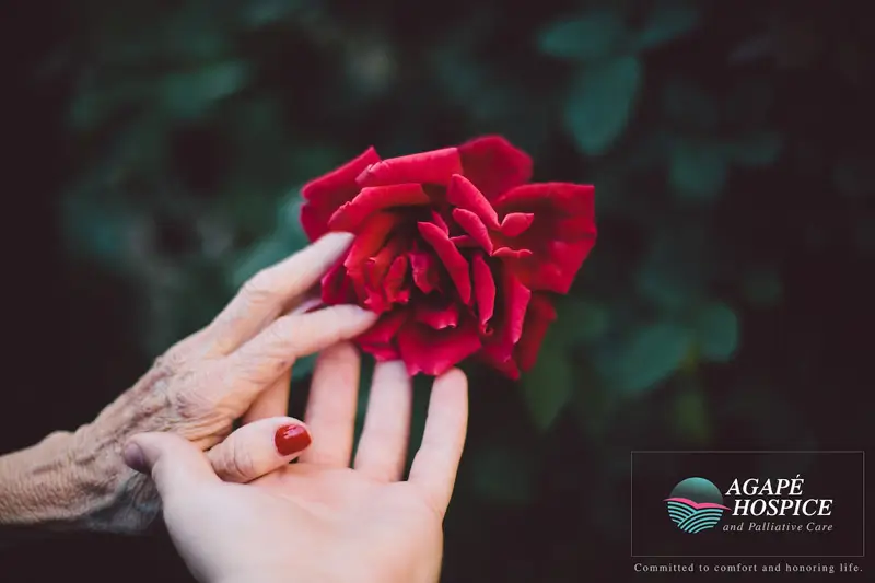 Someone in hospice care at the end of their life holding hands and touching a rose in LA or Orange County